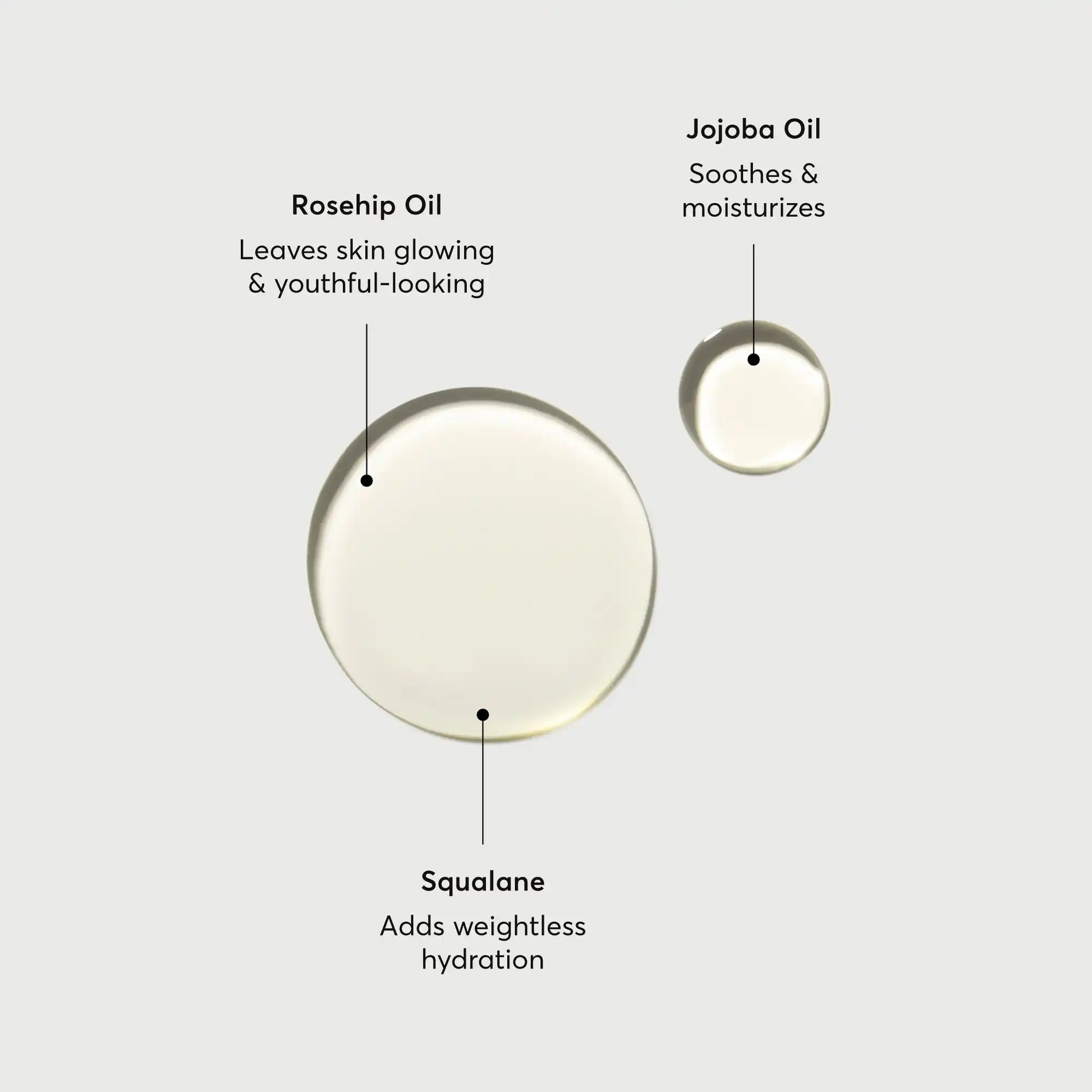 the-glow-getter-body-oil-l9 NATR-10115-Alt-Images-The-Glow-Getter-Body-Oil-01.webp