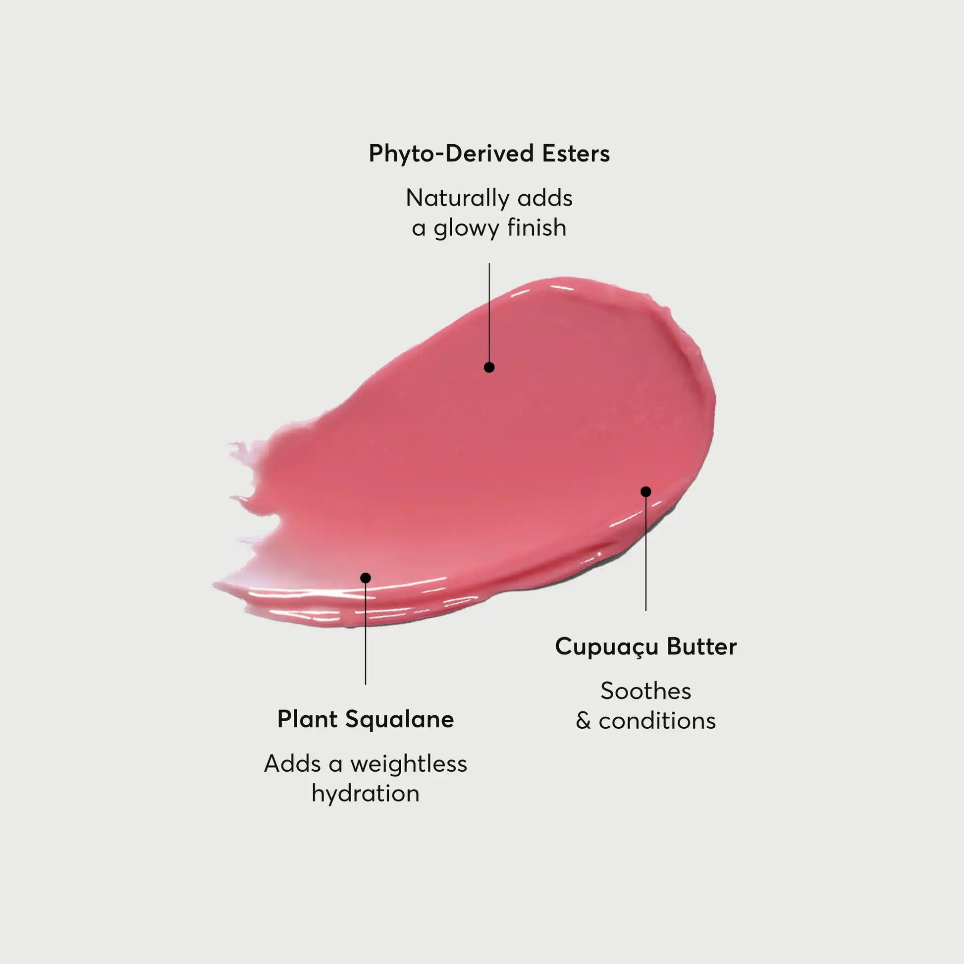 phyto-glow-lip-balm-petal-c0 NATR-60067-Alt-Images-Phyto-Glow-Lip-Balm-Petal-01.webp